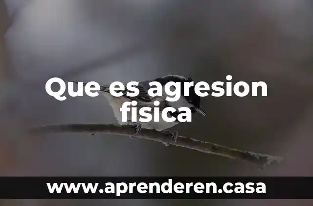 Que es agresion fisica