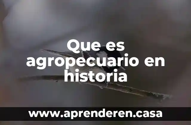 Que es agropecuario en historia