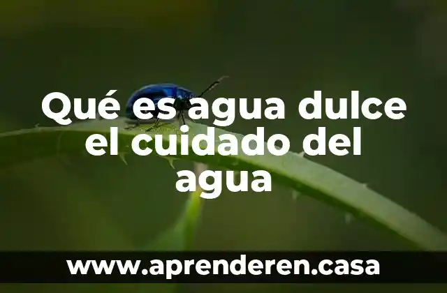 Qué es agua dulce el cuidado del agua
