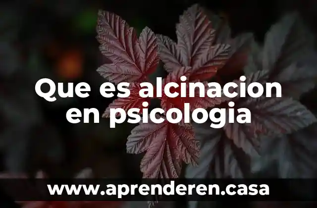 Que es alcinacion en psicologia