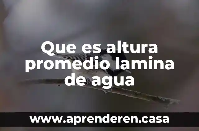 Que es altura promedio lamina de agua