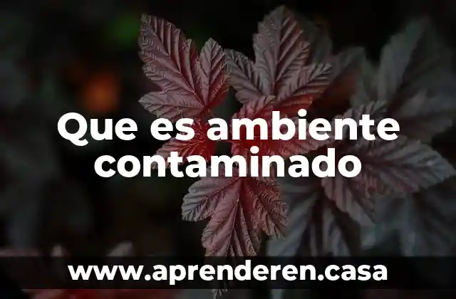 Que es una formulación sistémica 7 Que es ambiente contaminado