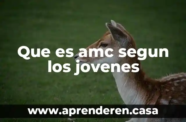 Que es amc segun los jovenes