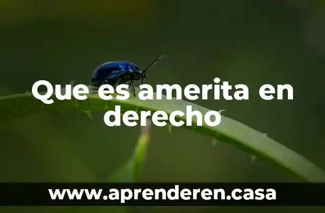 Que es amerita en derecho
