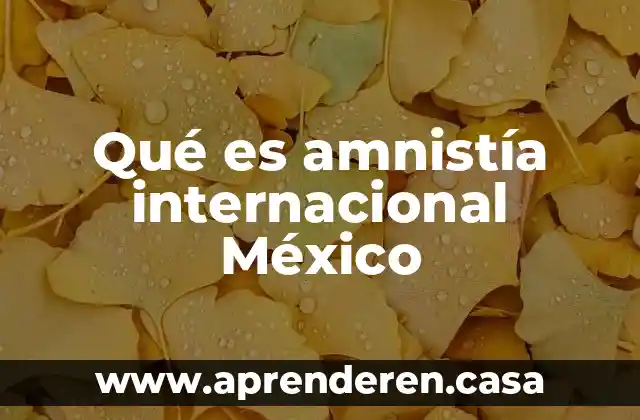 La red internacional del narcotráfico que es 7 Qué es amnistía internacional México