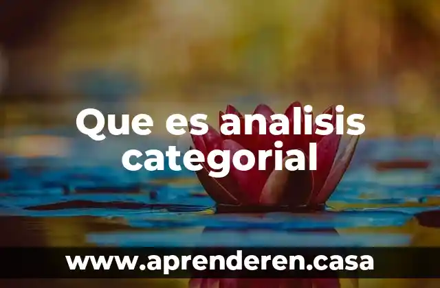 Que es analisis categorial