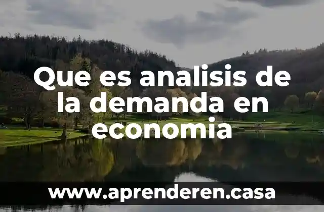 Que es analisis de la demanda en economia