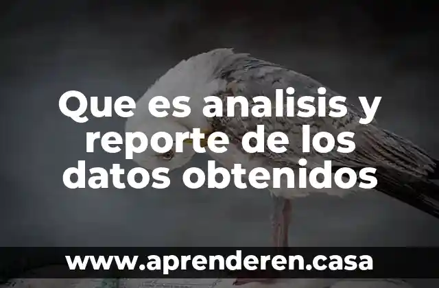 Que es analisis y reporte de los datos obtenidos