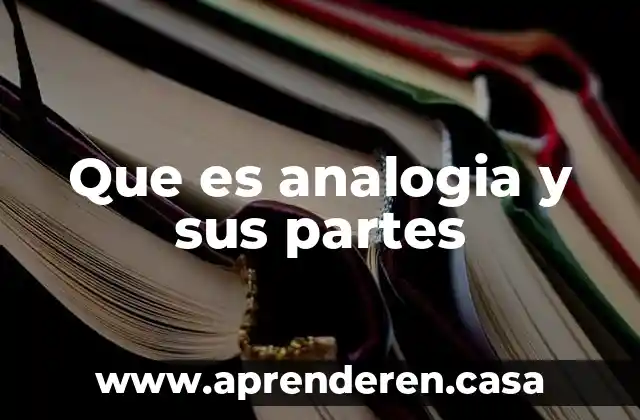 Que es la denominacion juridica de las partes 6 Que es analogia y sus partes