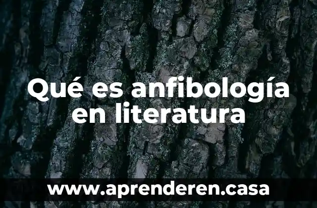 Qué es anfibología en literatura