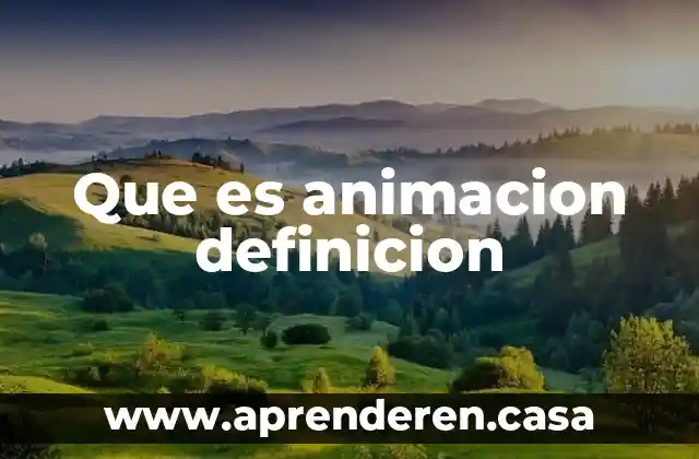 Que es animacion definicion