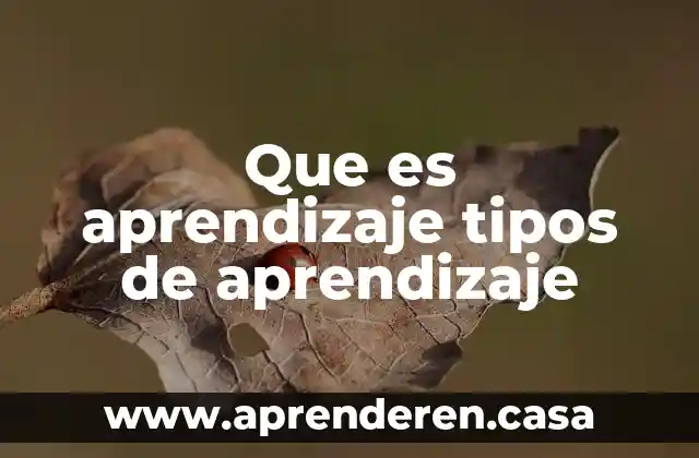 Que es aprendizaje tipos de aprendizaje