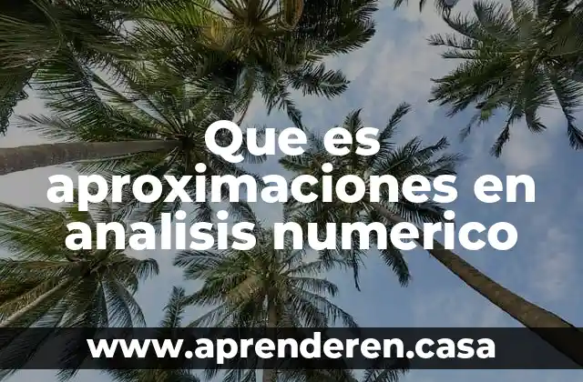 Que es aproximaciones en analisis numerico