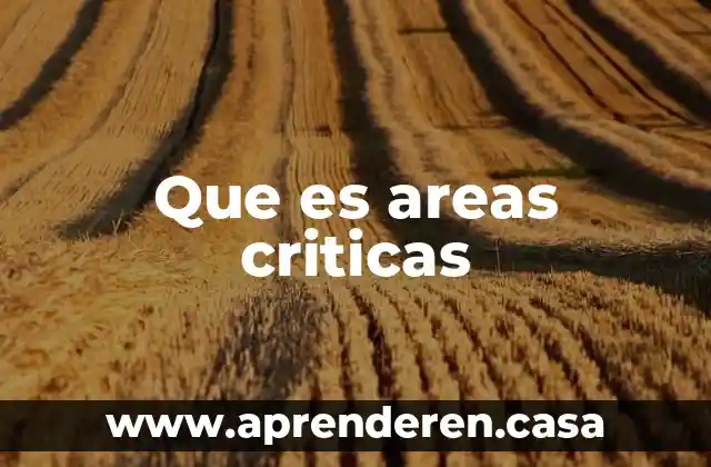 Que es areas criticas