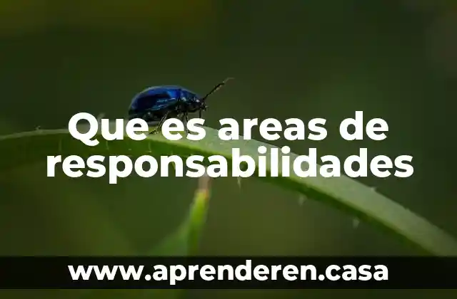 Que es areas de responsabilidades