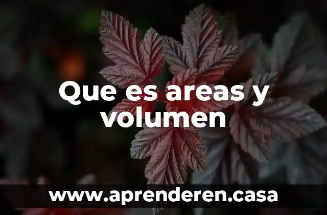 Que es areas y volumen