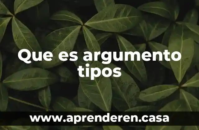 Que es argumento tipos