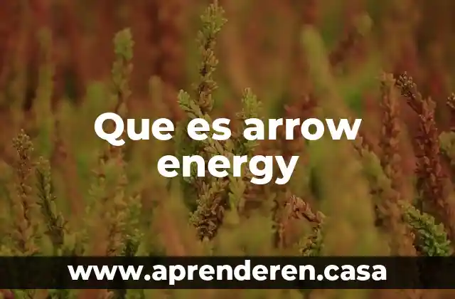 Que es y como se juega el yoyo 5 Que es arrow energy