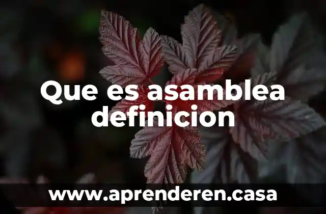 Que es asamblea definicion