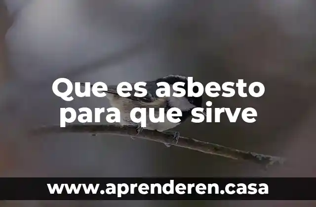 Que es asbesto para que sirve