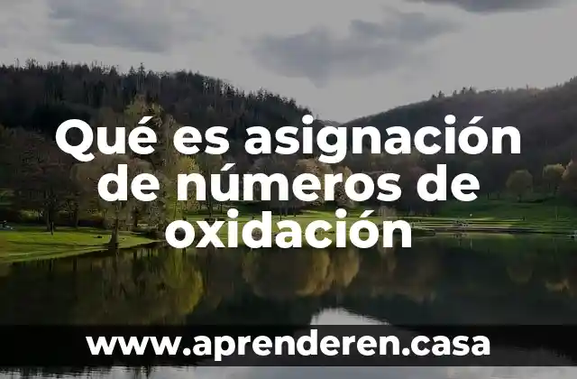 Qué es números naturales y su ejemplo 8 Qué es asignación de números de oxidación