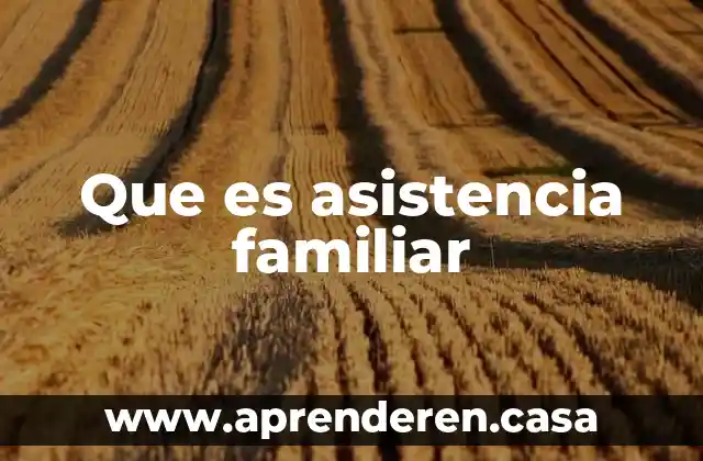 Que es asistencia familiar