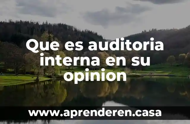 Que es auditoria interna en su opinion