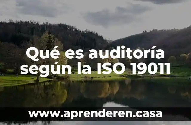 Qué es auditoría según la ISO 19011