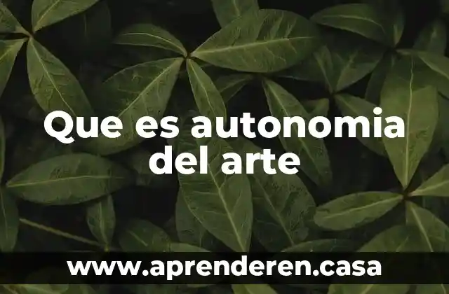 Que es el arte convergente 3 Que es autonomia del arte