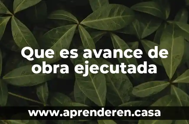 Que es necesidasd de obra sivil 4 Que es avance de obra ejecutada