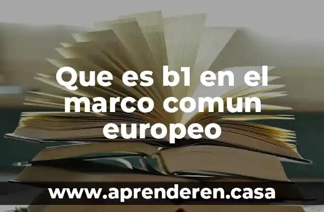 Que es b1 en el marco comun europeo