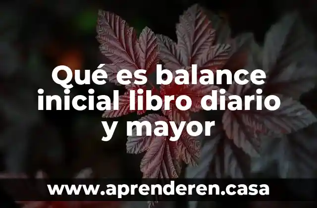 Que es requerimientos nutricionales lipido adulto mayor segun la oms 7 Qué es balance inicial libro diario y mayor