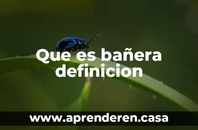 Que es bañera definicion