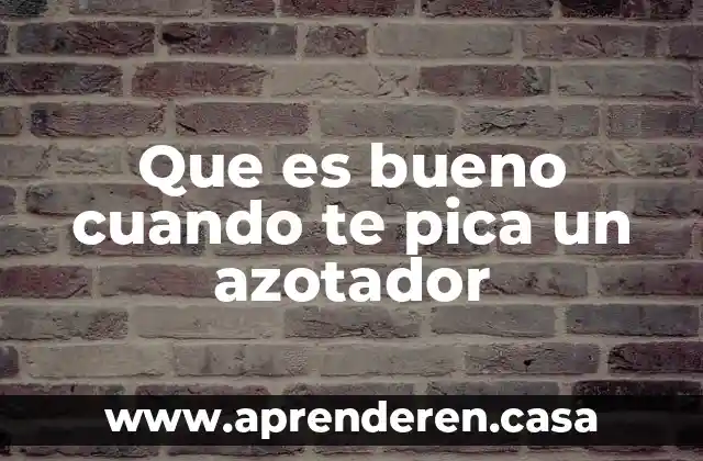 Que es bueno cuando te pica un azotador