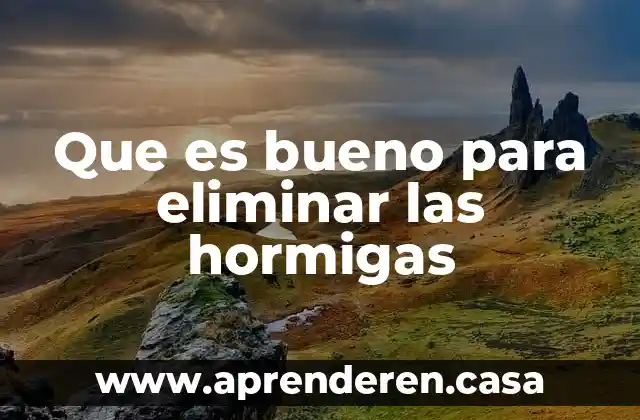 Que es bueno para eliminar las hormigas