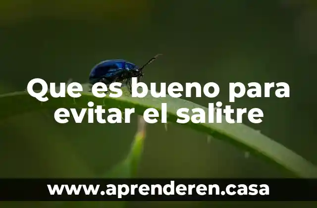 Que es bueno para evitar el salitre