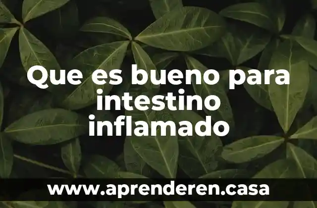 Que es bueno para intestino inflamado