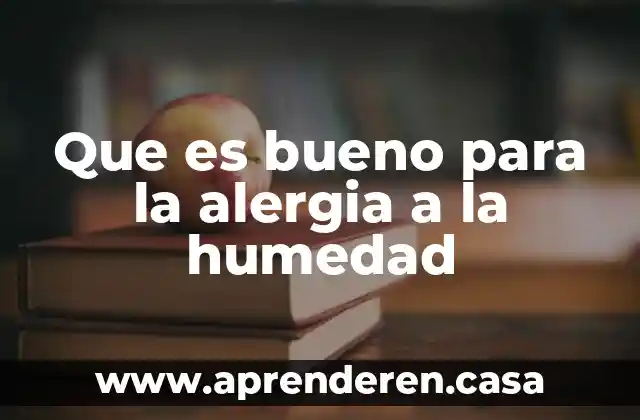 Sirve para medir la humedad que es el instrumento 6 Que es bueno para la alergia a la humedad