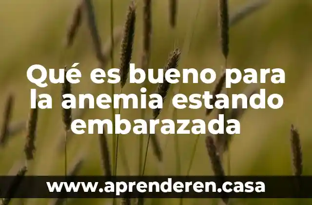 Qué es bueno para la anemia estando embarazada