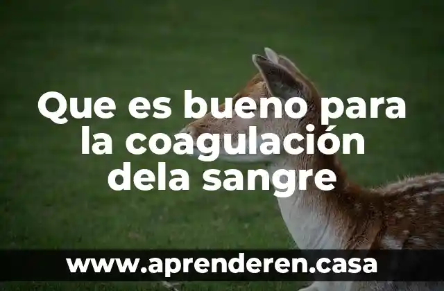 Que es bueno para la coagulación dela sangre
