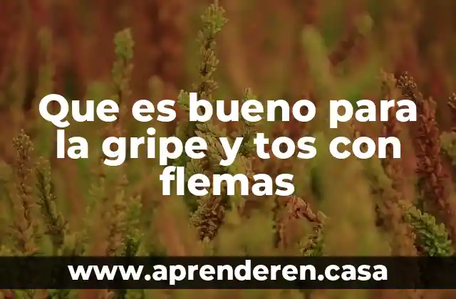 Para que es bueno informarse sobre embarazos adolescentes 7 Que es bueno para la gripe y tos con flemas