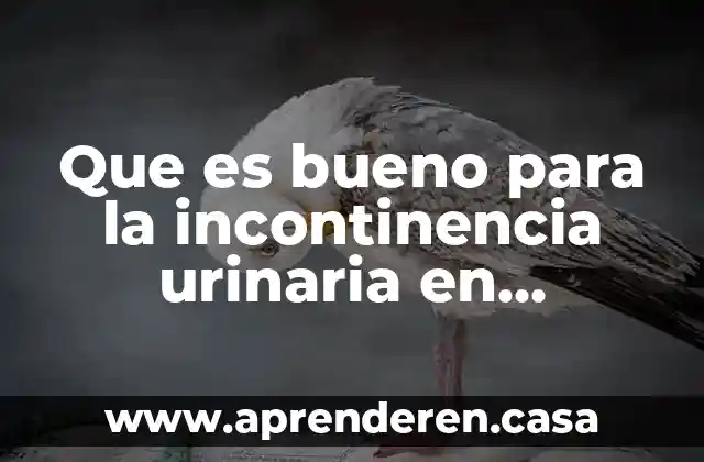 Que es la incontinencia urinaria en niños 5 Que es bueno para la incontinencia urinaria en hombres