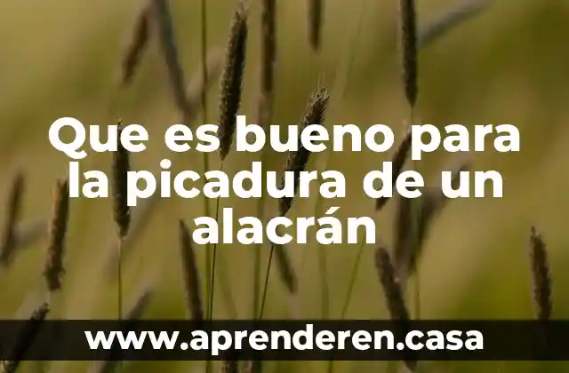 Que es bueno para la picadura de un alacrán