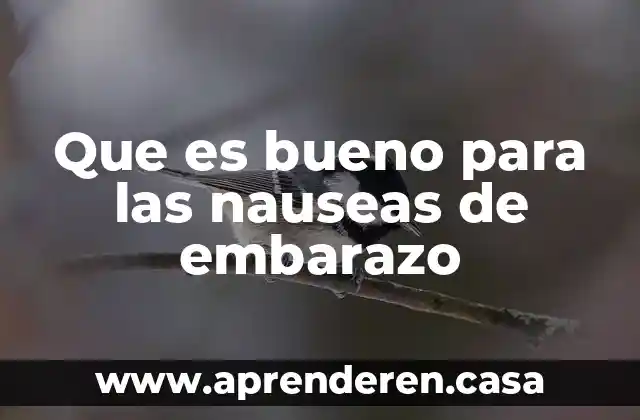 Que es bueno para las nauseas de embarazo