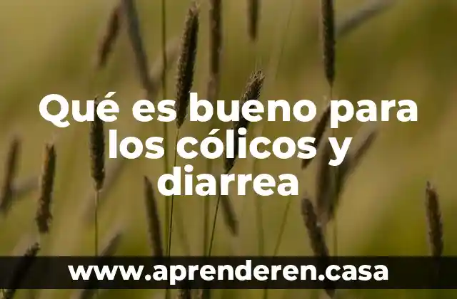 Qué es bueno para los cólicos y diarrea