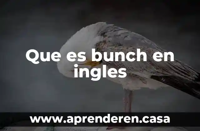 Que es bunch en ingles