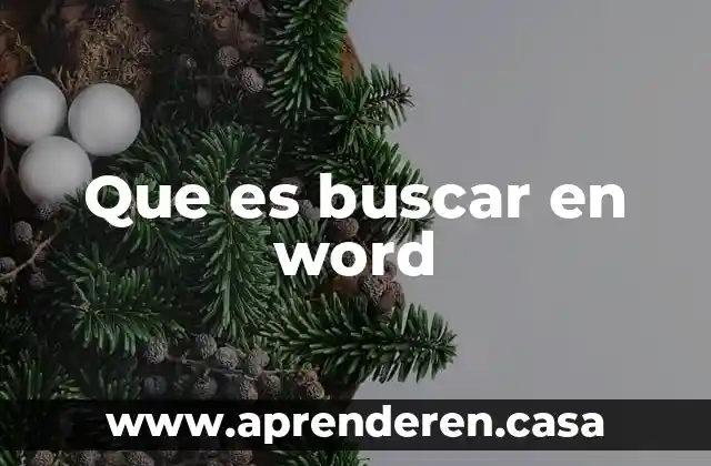 Que es buscar en word