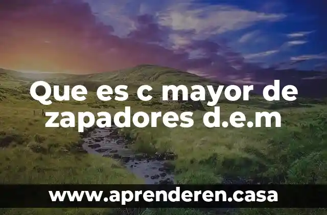 Que es requerimientos nutricionales lipido adulto mayor segun la oms 6 Que es c mayor de zapadores d.e.m