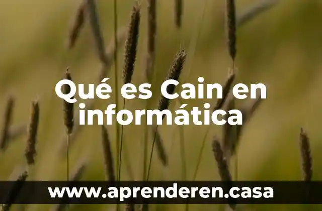 Qué es Cain en informática
