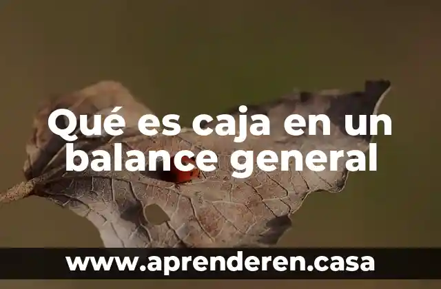 Que es sqe en consejo de salubridad general 3 Qué es caja en un balance general